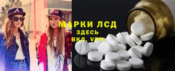 jwh Тайга
