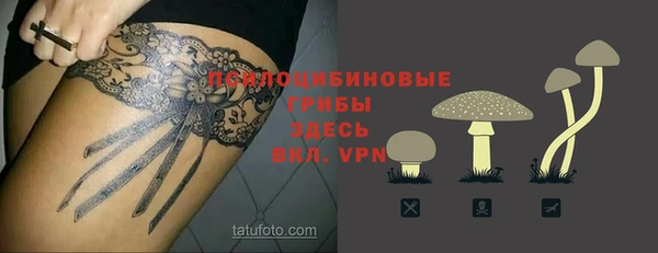 мяу мяу кристалл Бородино