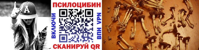 где можно купить   mega ссылка  Галлюциногенные грибы GOLDEN TEACHER  Выборг 
